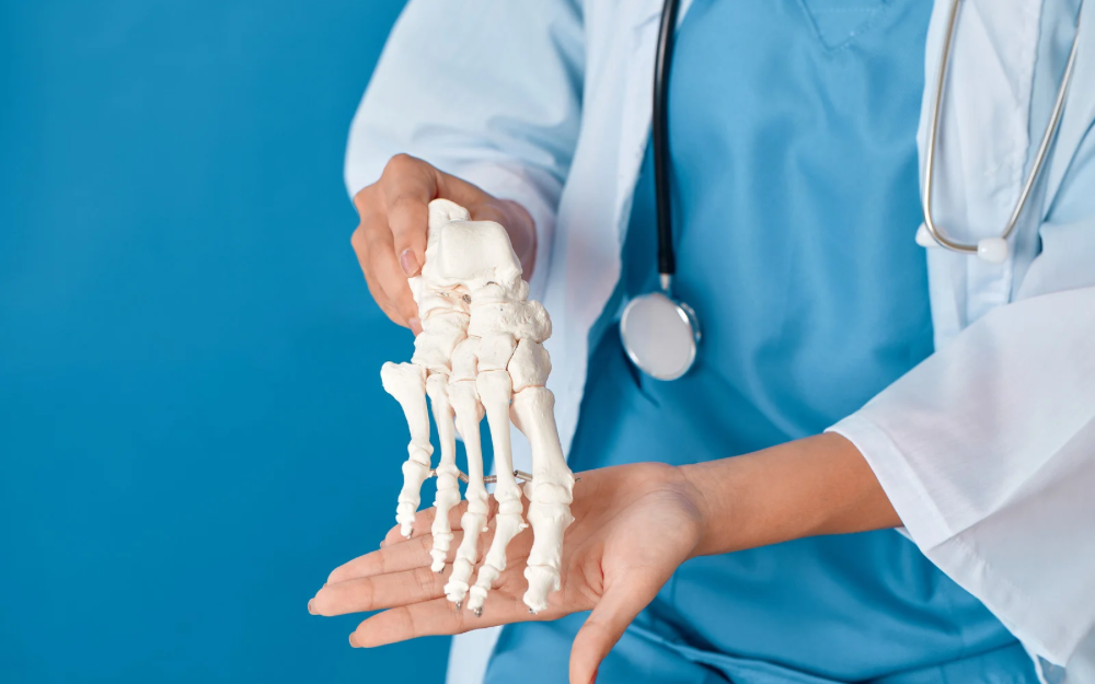 A healthcare professional in scrubs and a white coat holds a model of the human foot skeleton, illustrating the importance of calcium in maintaining strong, healthy bones.
