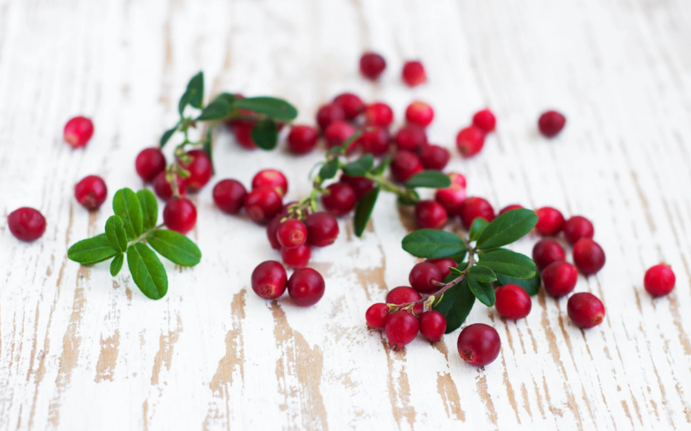 Fresh cranberries with green leaves scattered on a rustic white wooden surface—symbolizing natural cranberry benefits and ingredients used in cranberry supplements for urinary tract health.