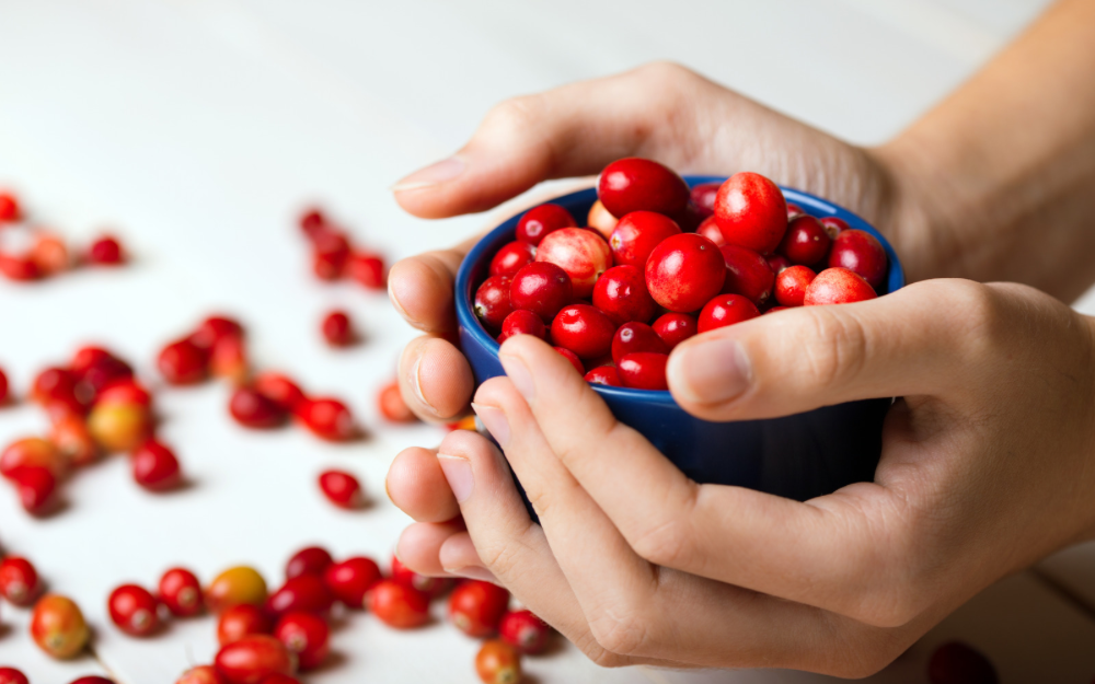Hands holding a blue bowl filled with fresh cranberries, with more cranberries scattered on a white table—symbolizing the natural source of cranberry supplements and the immune-boosting cranberry benefits.