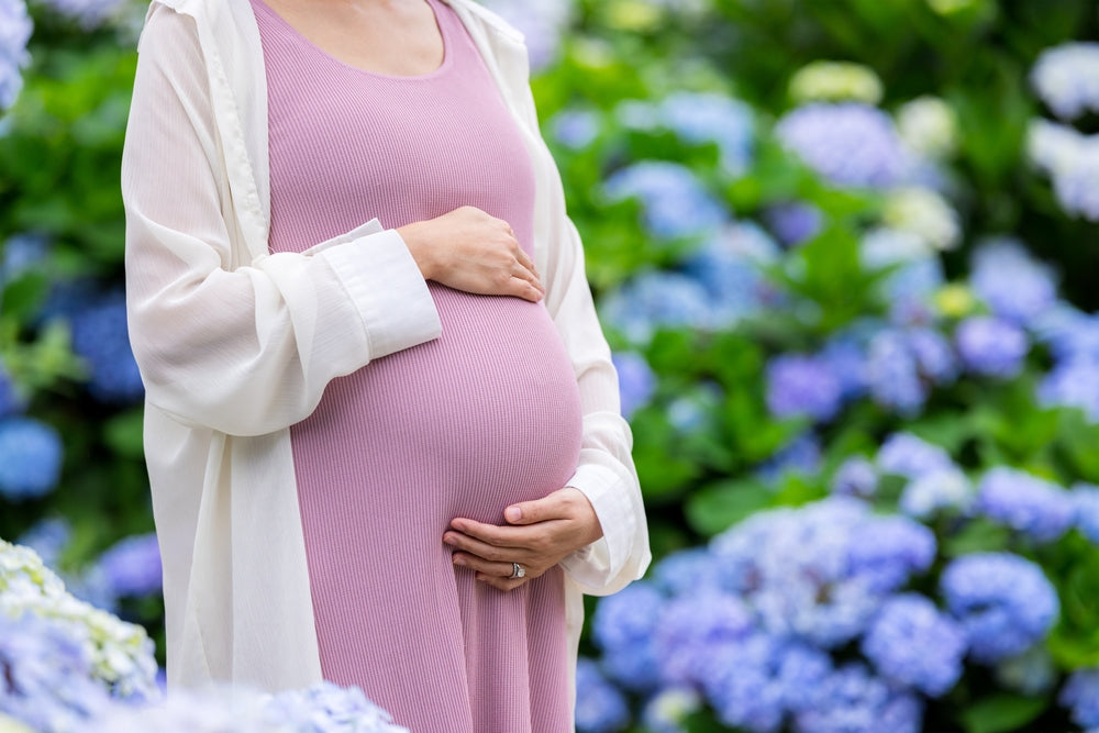 Pregnant woman in pink dress and white sweater, standing in front of hydrangea flowers with her hands on her belly.