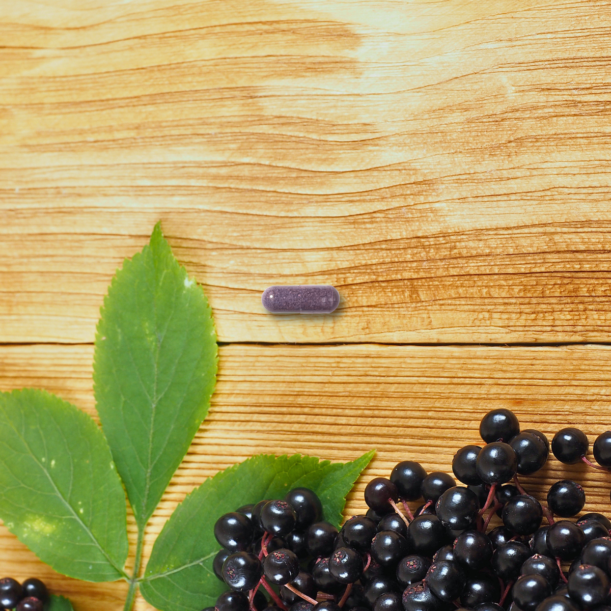 Elderberry